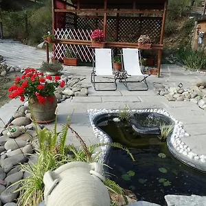 https://affittacamere-graziella-vernazza.hotelitalianriviera.com